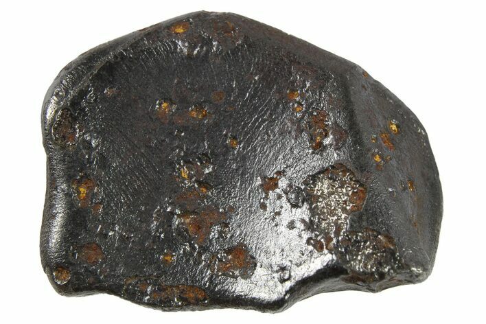 Sikhote-Alin Iron Meteorite ( g) - Russia #266721